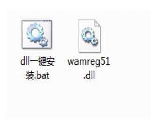 wamreg51.dll | 重要dll文件